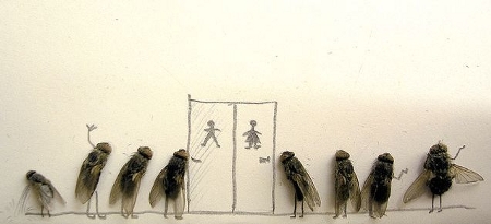 Arte com moscas mortas